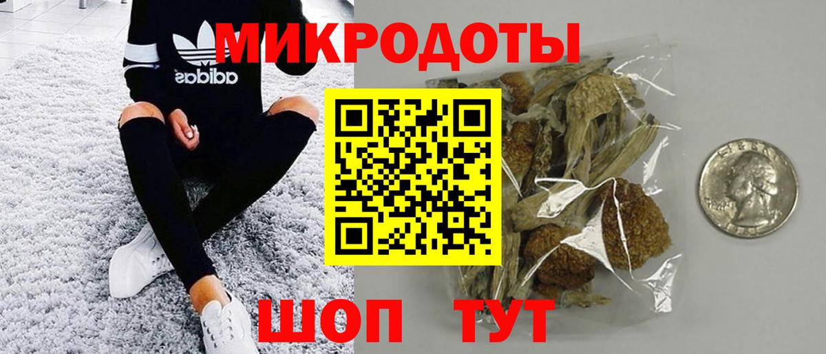 Псилоцибиновые грибы Psilocybe  Вход с VPN  Лесосибирск 